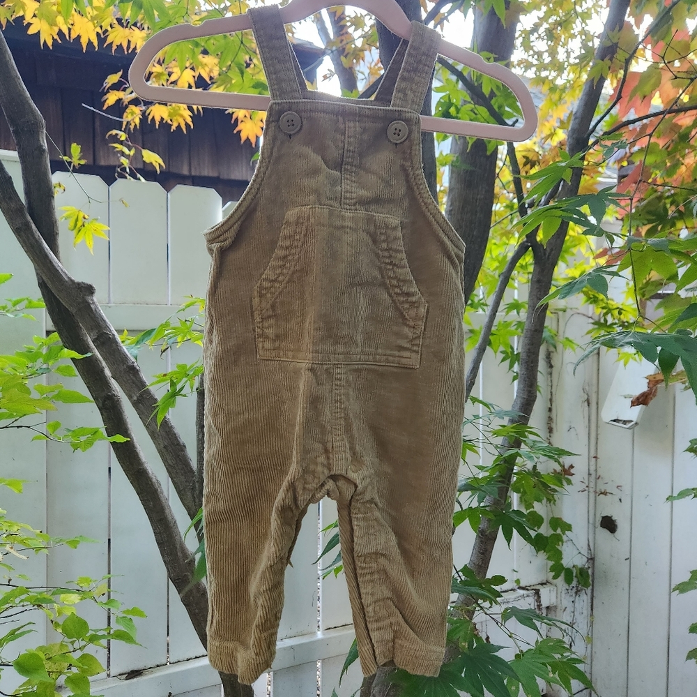 TEA Collection Boys Vellur Boys Overalls size 9-12 months